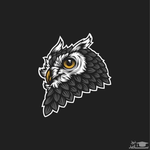 دانلود آهنگ جغد در شب از افکت صوتی انسان و موجودات زنده