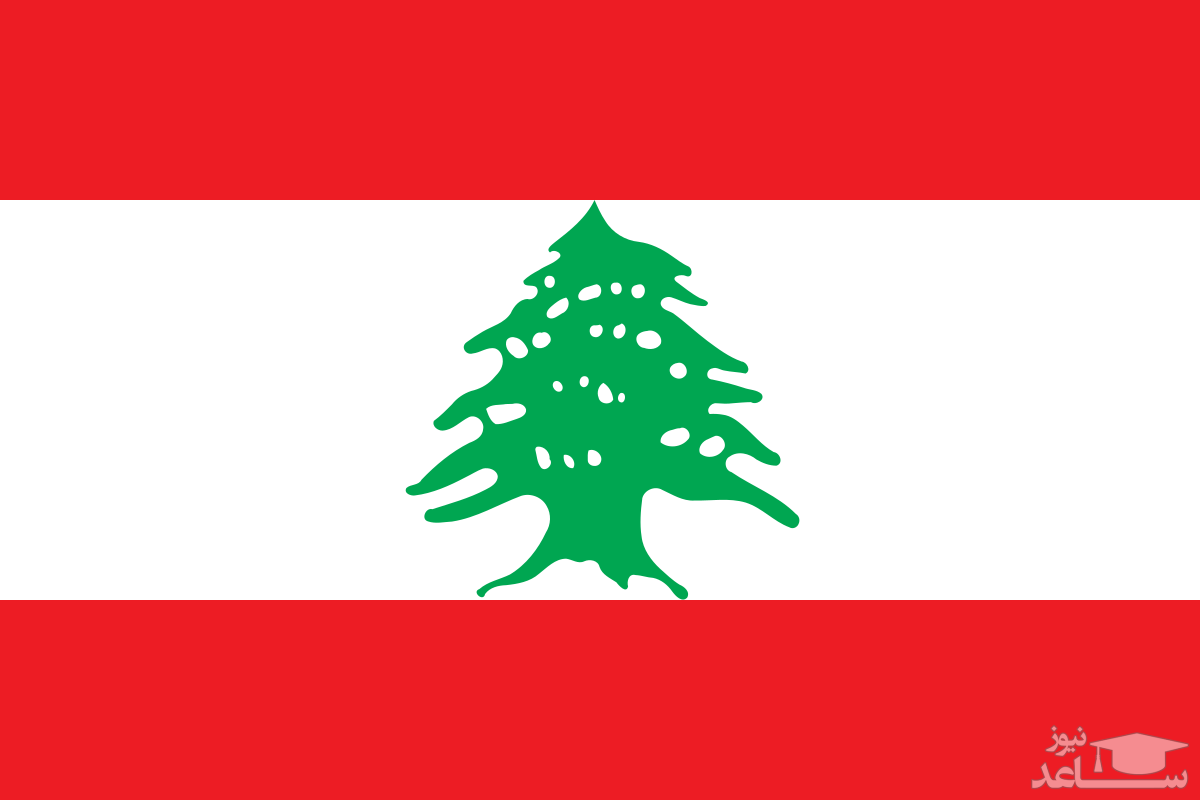 لبنان، ترکیه و رژیم صهیونیستی را به "کلاهبرداری و دزدی" متهم کرد