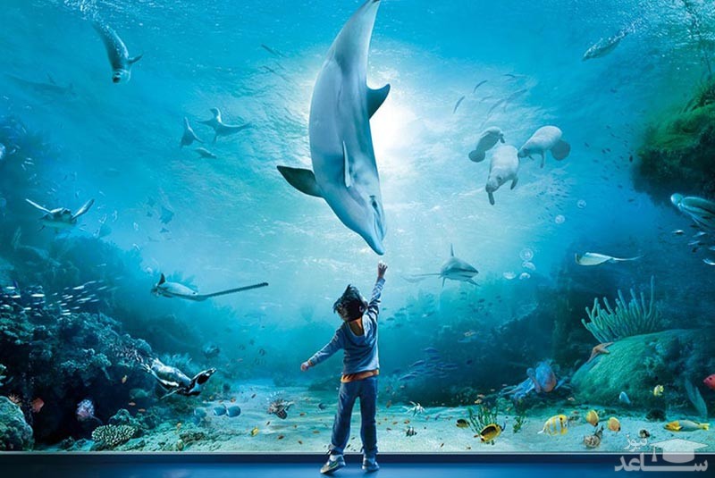 آکواریوم جنوا