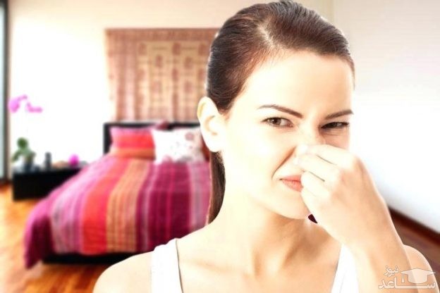 روش هایی مفید برای از بین بردن بوی نم خانه