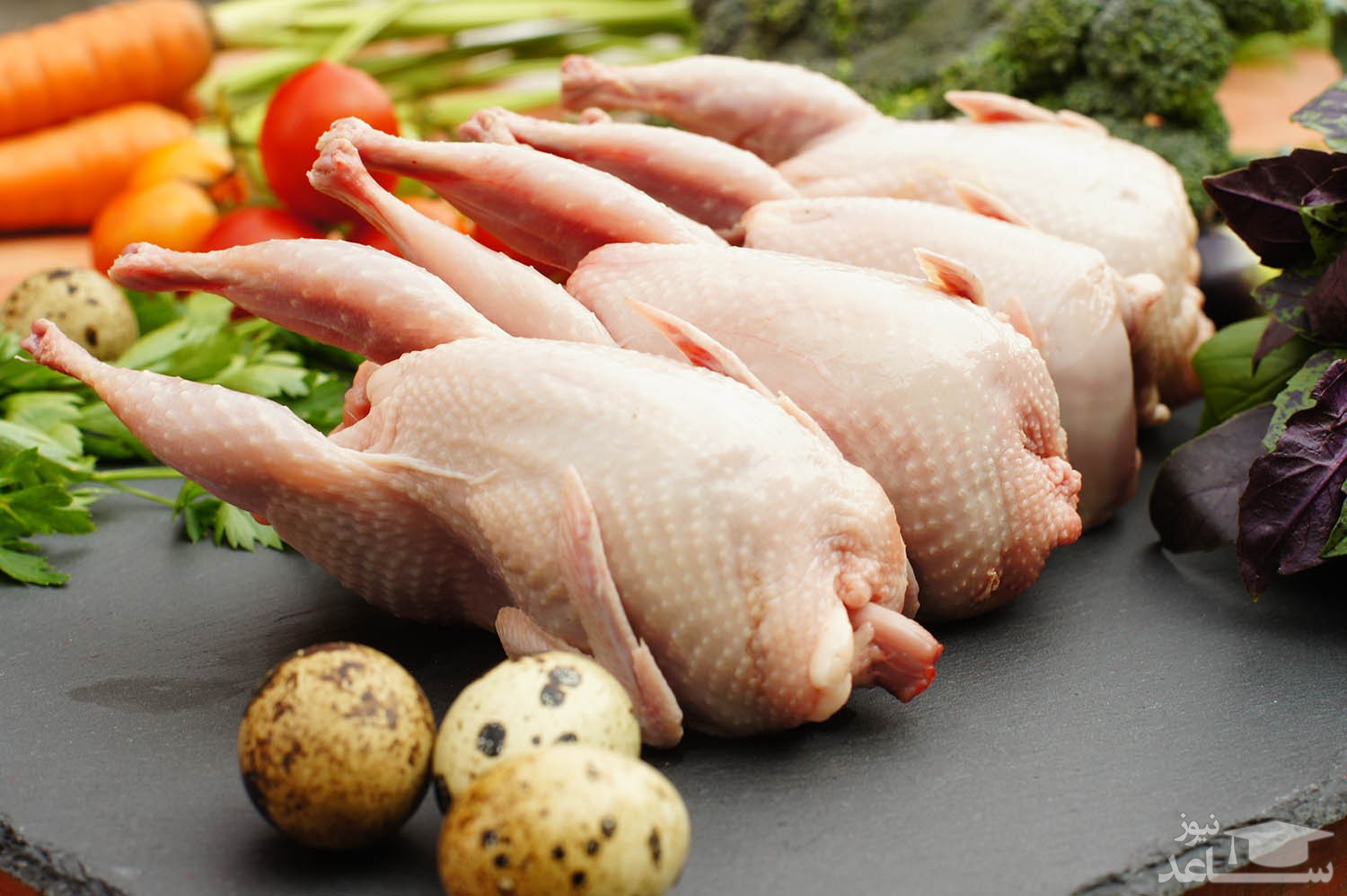 خواص و ویژگی های گوشت بلدرچین چیست؟