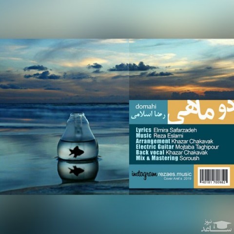دانلود آهنگ دو ماهی از رضا اسلامی