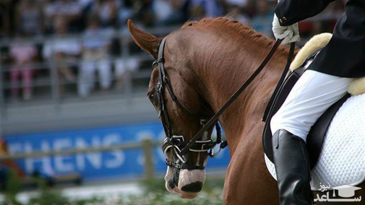 (عکس) پرتاب شدن خطرناک سوارکار از روی اسب