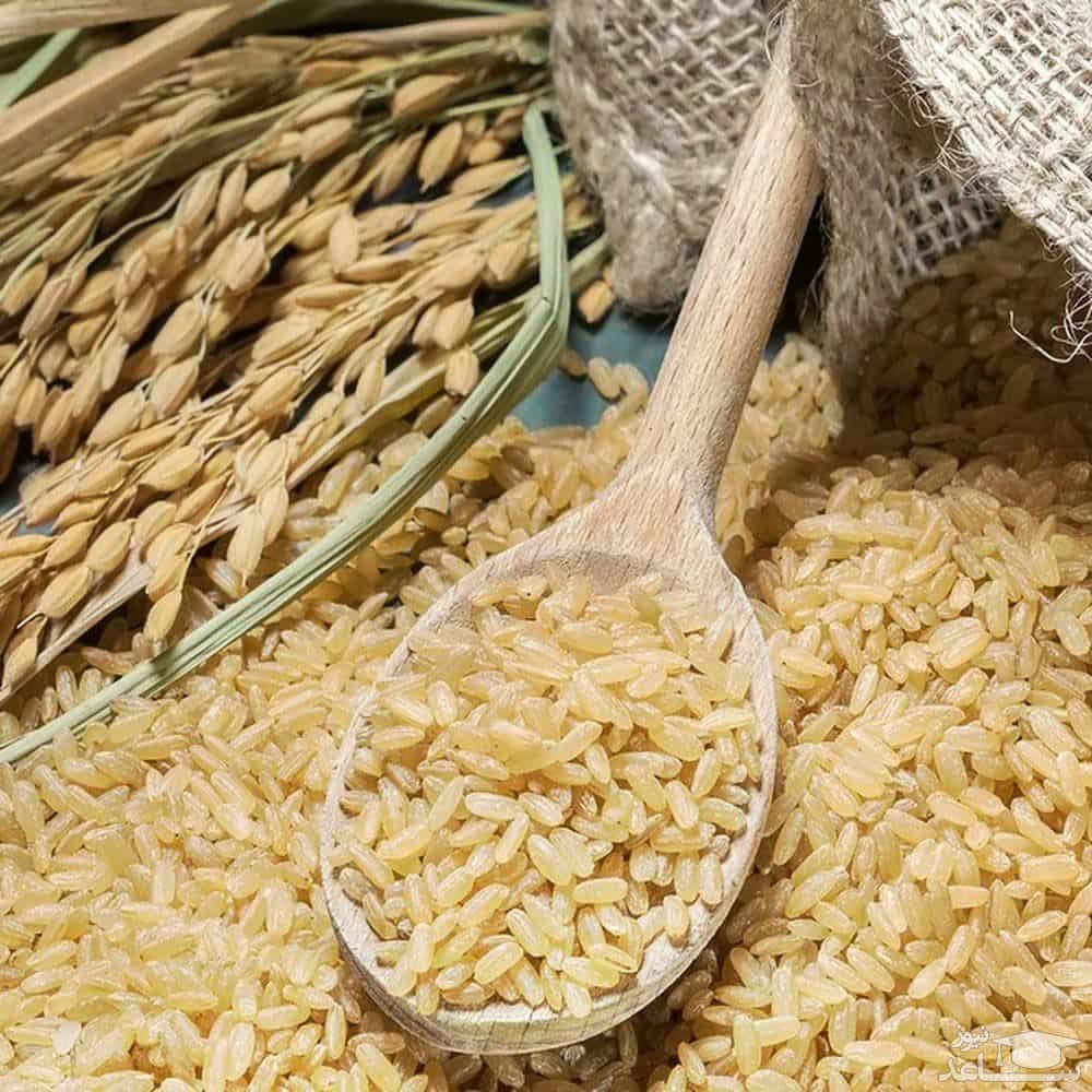 خاصیت دارویی شلتوک برنج