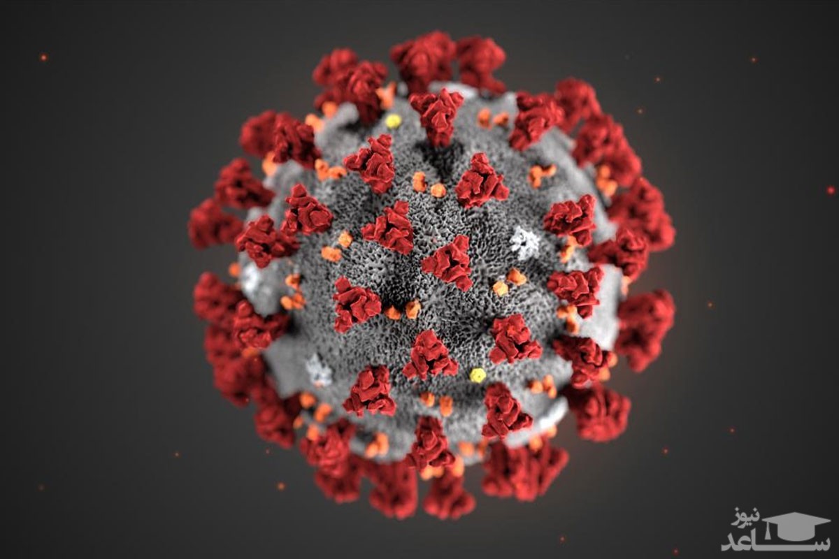تصورات علمی درباره کرونا که اشتباه از آب درآمدند