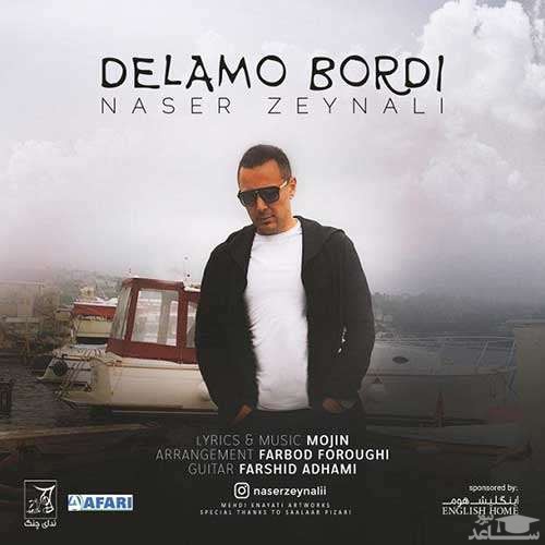 دانلود آهنگ دلمو بردی از ناصر زینعلی