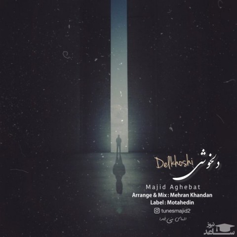 دانلود آهنگ دلخوشی از مجید عاقبت