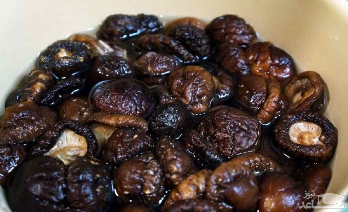 روش تهیه مربای قارچ خوشمزه