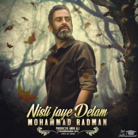 دانلود آهنگ نیستی جای دلم از محمد رادمان