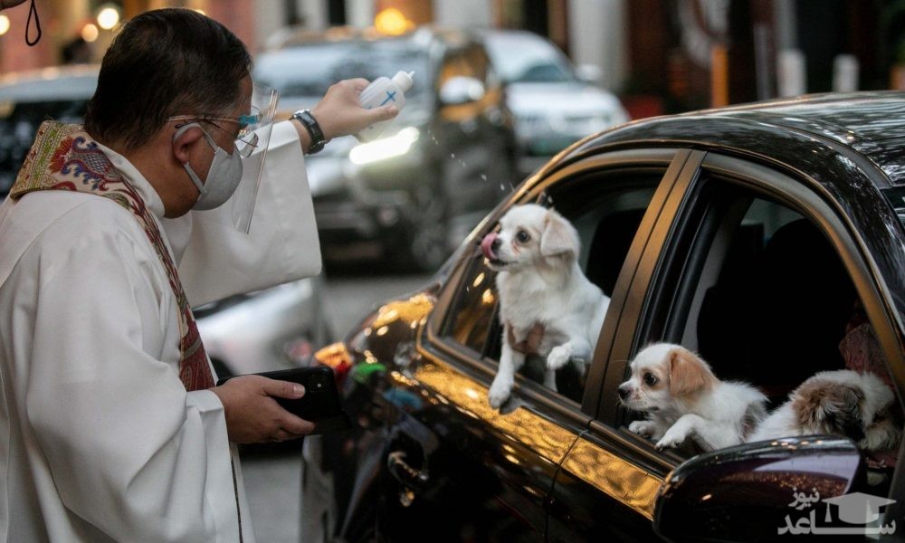 دیدنی های امروز دوشنبه 14 مهر 99