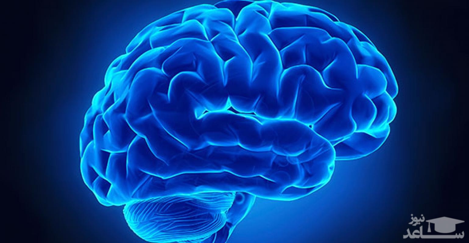 میزان، تاثیرات و مکانیزم اثر سلژیلین