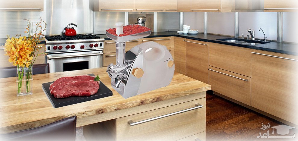 چرخ گوشت ناسا مدل NS- 308