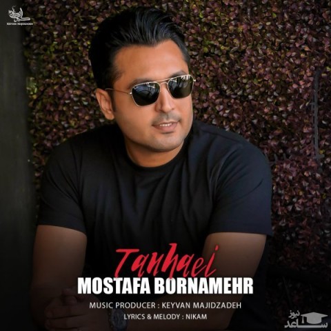 دانلود آهنگ تنهایی از مصطفی برنامهر
