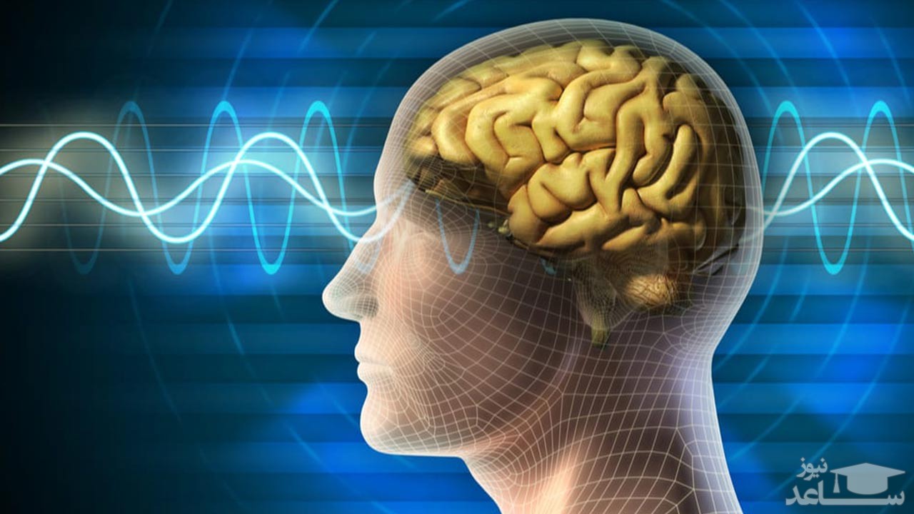 ورود سوسک به مغز زن 42 ساله از طریق بینی اش!