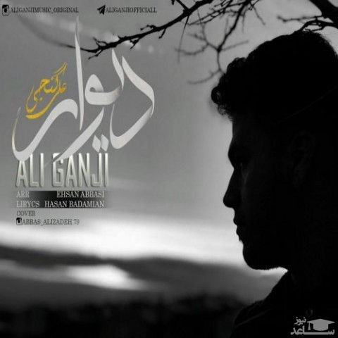 دانلود آهنگ دیوار از علی گنجی