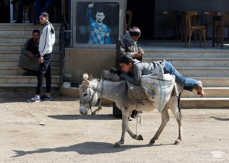 الاغ سواری یک نوجوان مصری در روستایی در نزدیکی قاهره/ رویترز