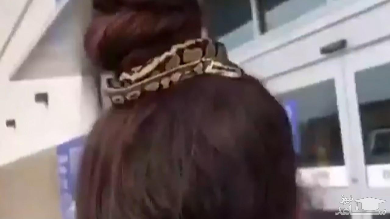 (فیلم) زنی که از مار بجای کش مو استفاده می کند