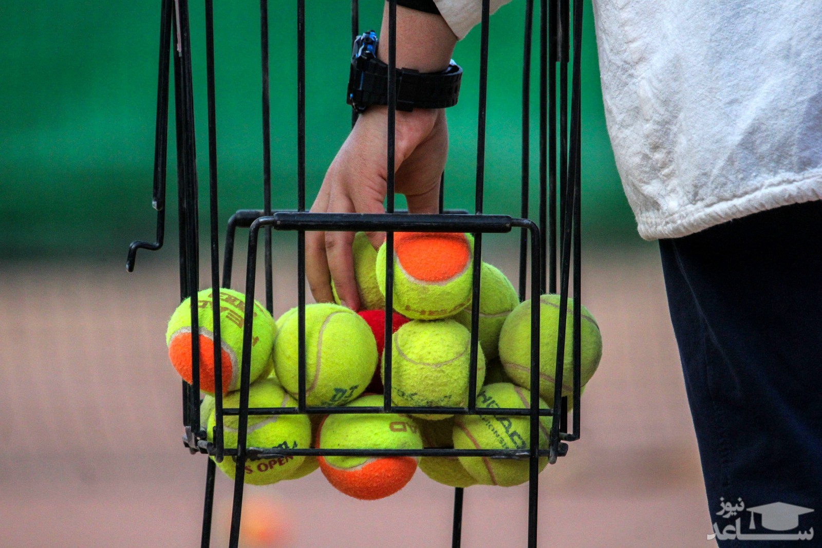 یک زن سرپرست تیم ملی تنیس مردان شد!