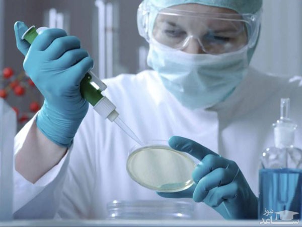 انواع محیط کشت میکروبی و سلولی