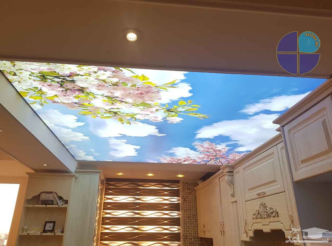 همه چیز درباره سقف کشسان