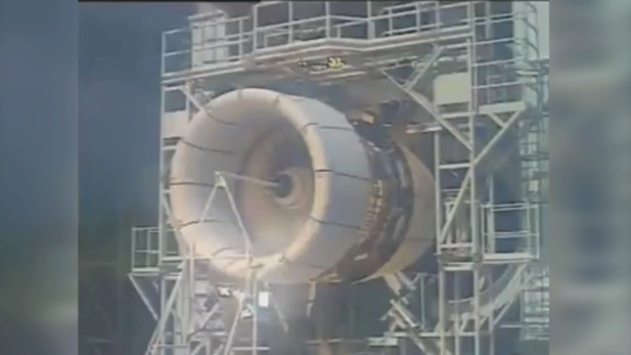 (فیلم) وقتی یک پرنده باعث فاجعه‌ عظیم می شود