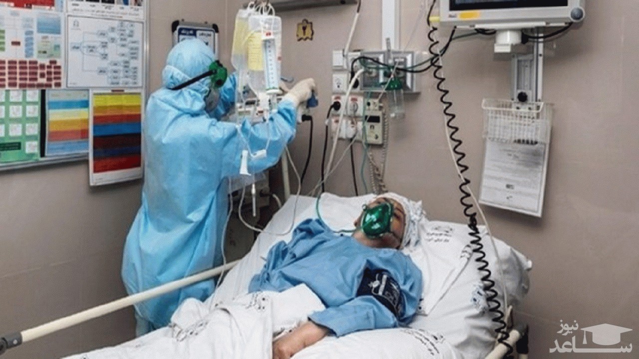 رییس علوم پزشکی: ۸۹ بیمار کرونایی در قم بستری شدند