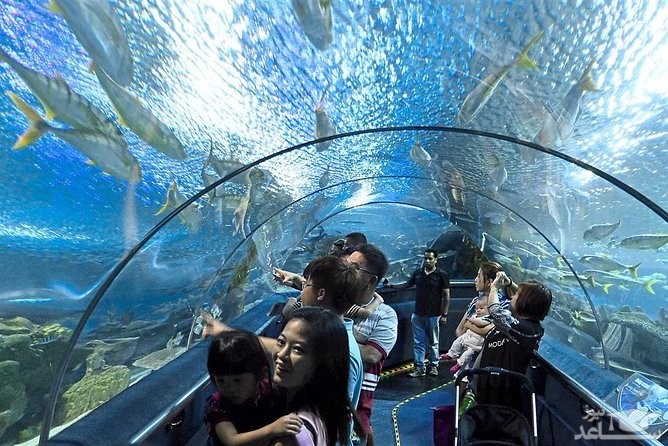 آکواریوم کوالالامپور | KL Aquaria