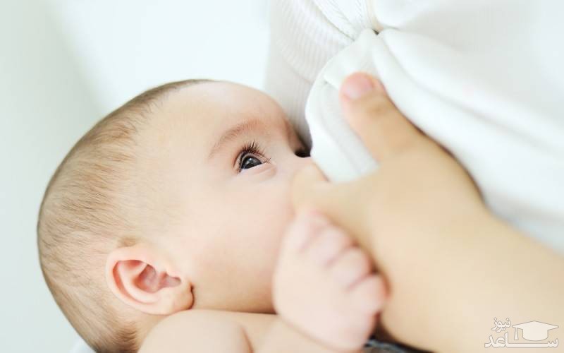بهترین زمان و بهترین روش برای از شیر گرفتن کودک