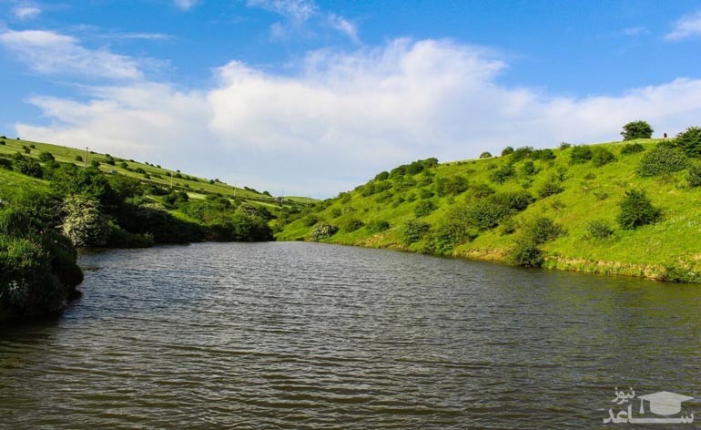 جنگل فندقلو