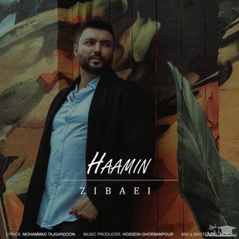 دانلود آهنگ زیبایی از هامین