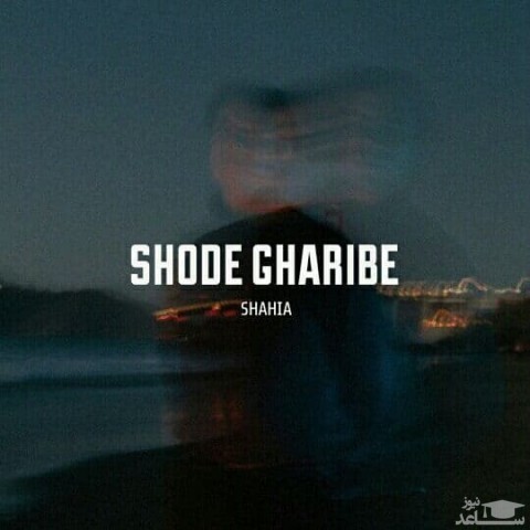 دانلود آهنگ شده غریبه از شاهیا