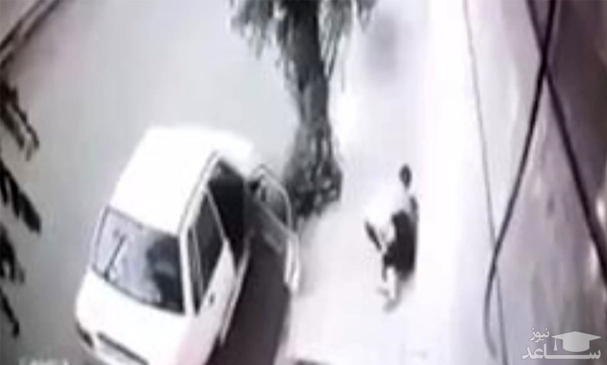 فیلمی وحشتناک از ضرب و شتم زن جوان ایرانی در خیابان