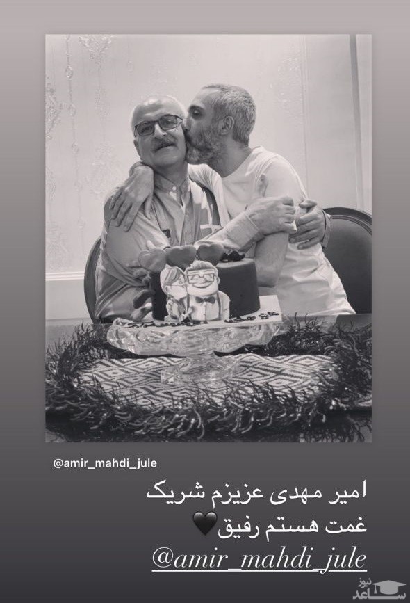 امیر مهدی ژوله