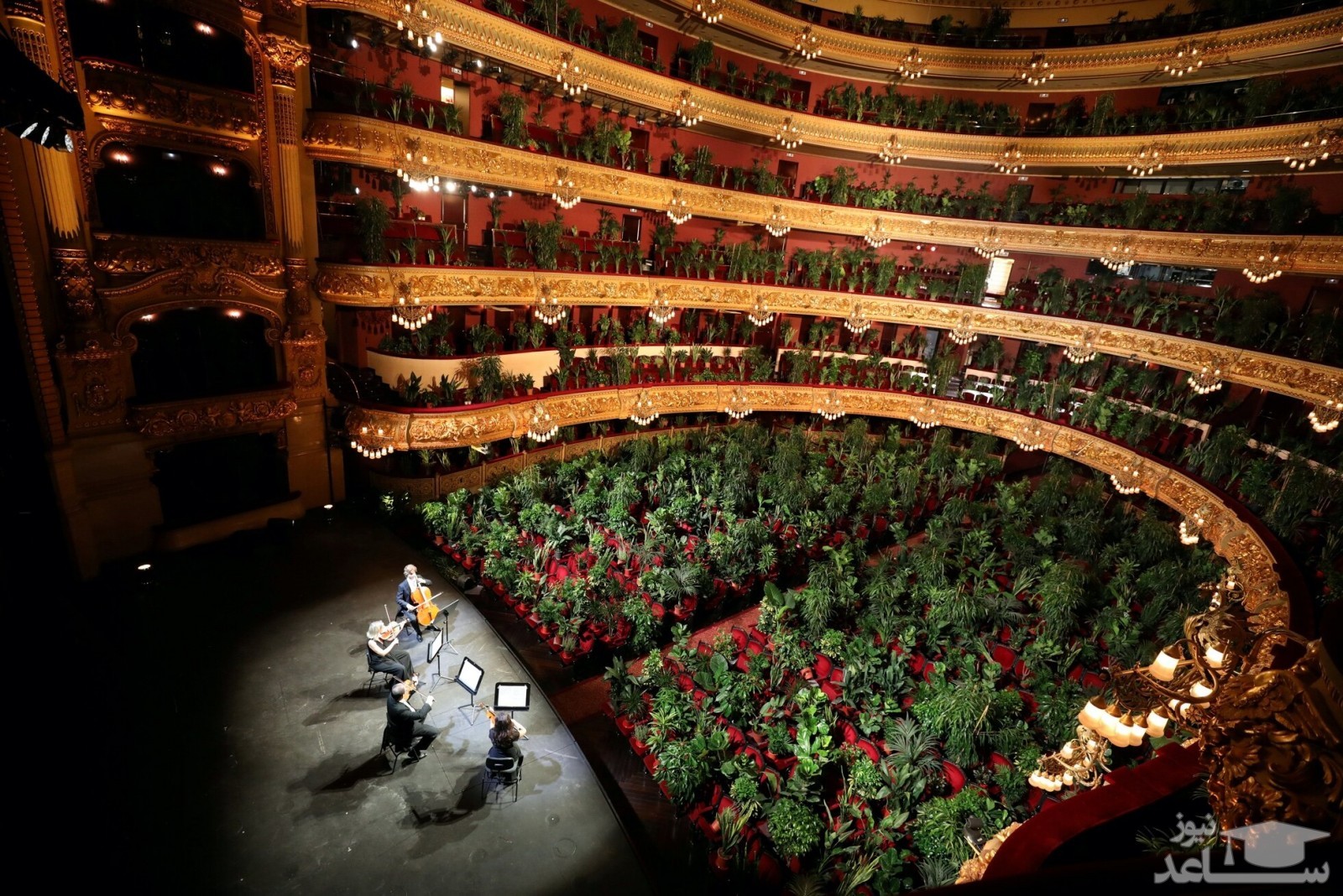 دیدنی های امروز چهارشنبه 4 تیر 99