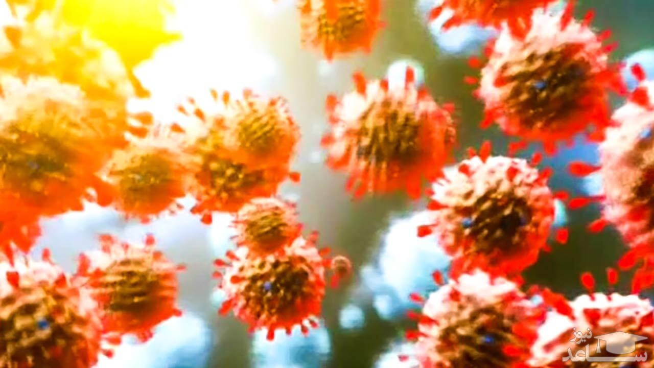 (فیلم) جهش کرونا در انگلیس، رعشه به جان جهان انداخت!