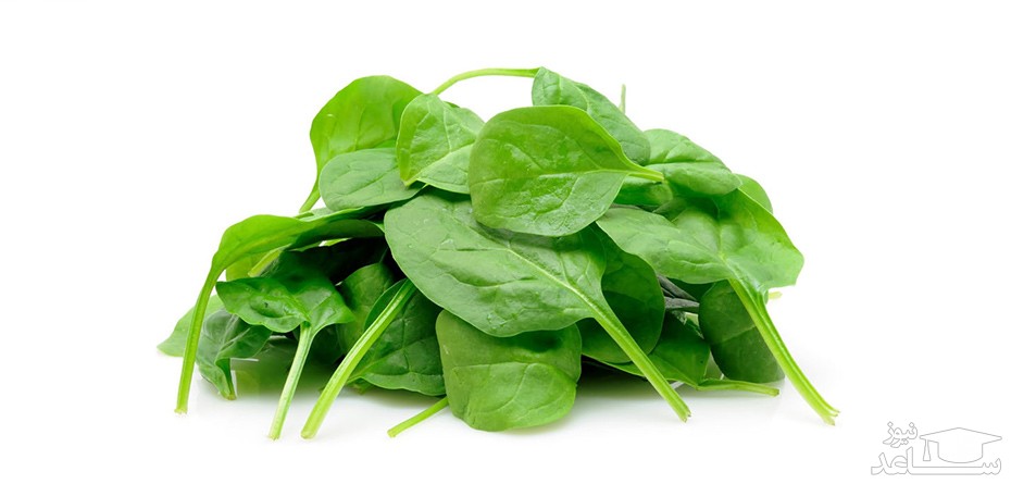 فواید مصرف اسفناج در دوران بارداری