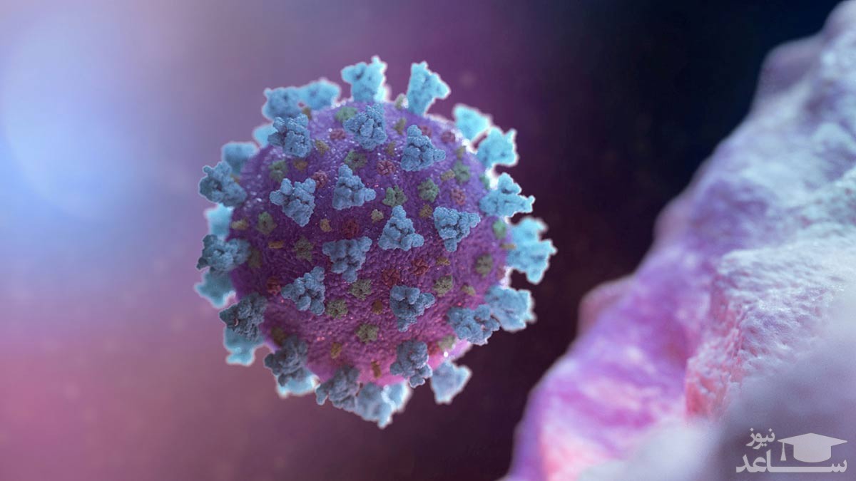 آزمایش ژنتیک نقش ویتامین D در پیشگیری از کووید-۱۹ را رد می‌کند