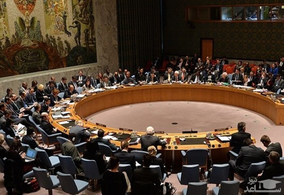 شورای امنیت قطعنامه آتش بس جهانی را تصویب کرد