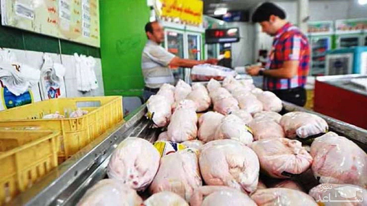 قیمت مرغ در شب یلدا نوسانی ندارد/نرخ هر کیلو مرغ ۲۲ هزار و ۹۳۵ تومان شد