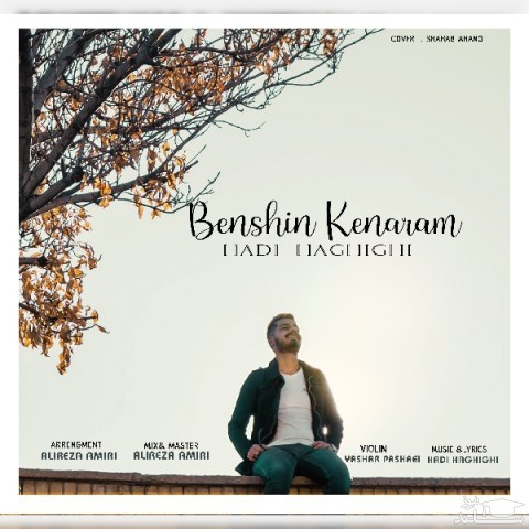 دانلود آهنگ بشین کنارم از هادی حقیقی