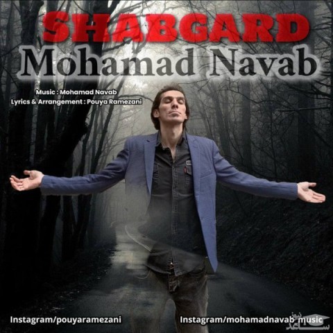 دانلود آهنگ شبگرد از محمد نواب