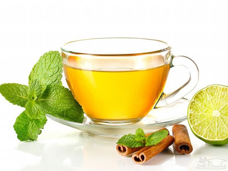 با فواید و مضرات بارنجبویه بیشتر آشنا شوید