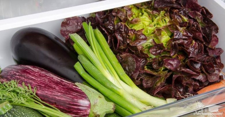 محفظه سبزی یخچال فریزر بوش مدل KIS87AF304