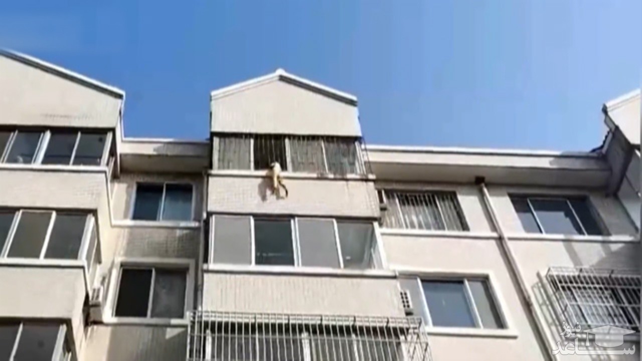 (فیلم) آویزان شدن کودک پنج ساله از پنجره در زمان تنها ماندن در خانه