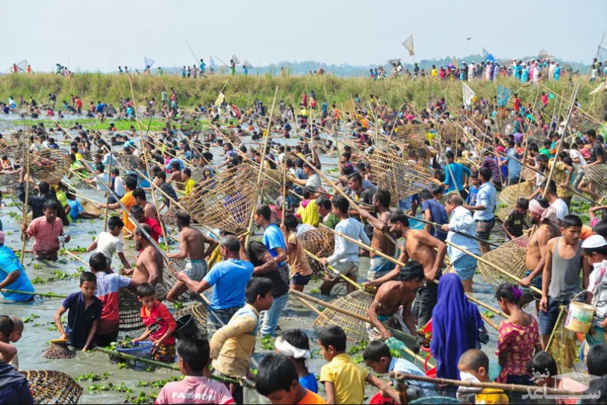 جشنواره سالانه ماهیگیری با نیزه در " بالی پارا" بنگلادش/ زوما
