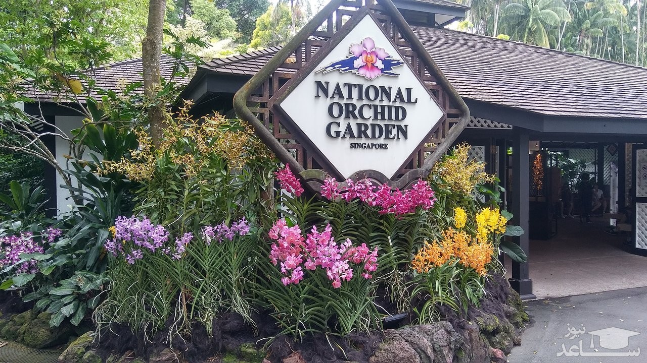 باغ ارکید DeVilla