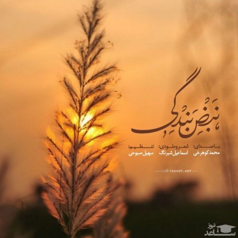 دانلود آهنگ نبض بندگی از محمد کوهرخی