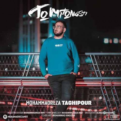 دانلود آهنگ تو میتونستی از محمدرضا تقی پور