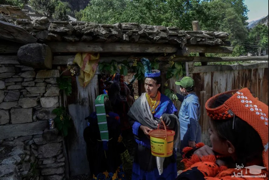 زنان قبیله "کلاش" در پاکستان با لباس سنتی در آیین سنتی جشن" جوشی" در استقبال بهار به سمت خانه اقوام خود می روند تا شیر جمع کنند./ خبرگزاری فرانسه