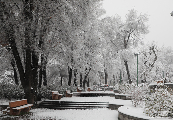 خبر ورود موج سرمای بی‌سابقه به کشور صحت دارد؟ + فیلم
